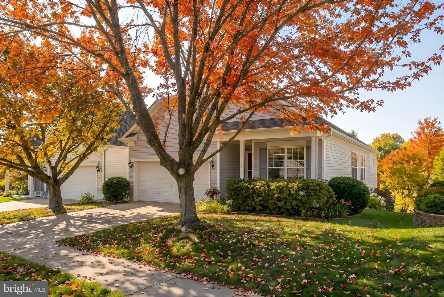 6 Buchanan Drive photo 20