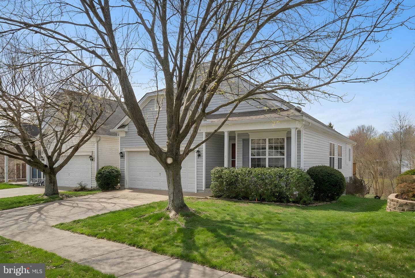 6 Buchanan Drive photo 21
