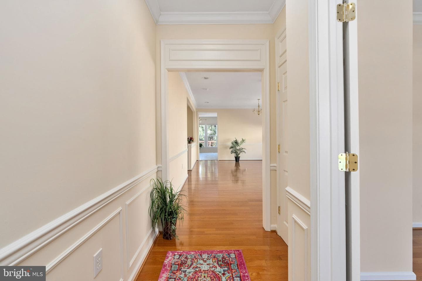 6 Buchanan Drive photo 25