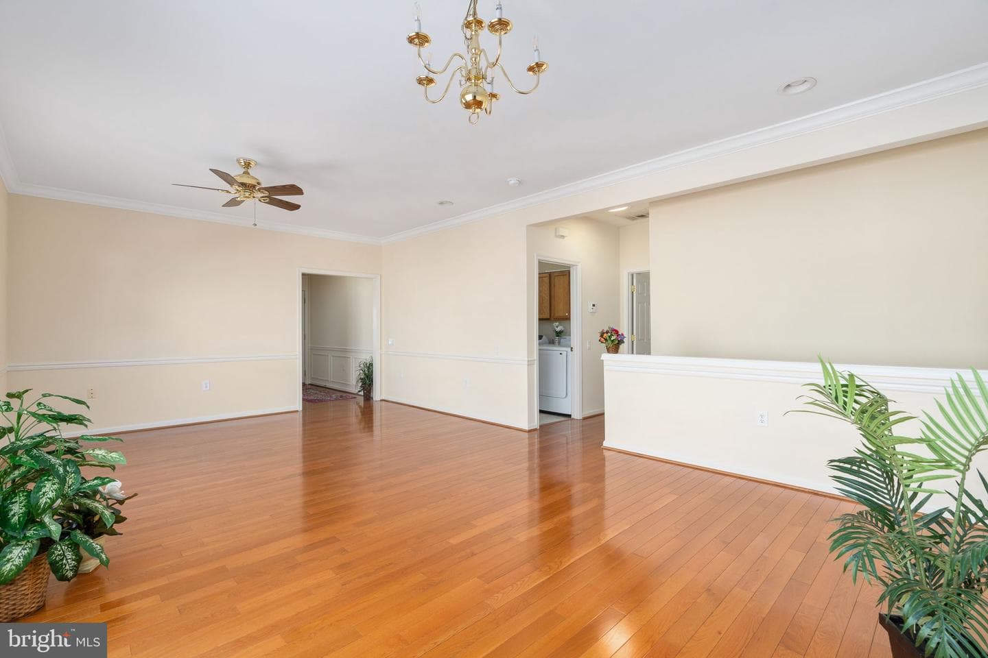 6 Buchanan Drive photo 27