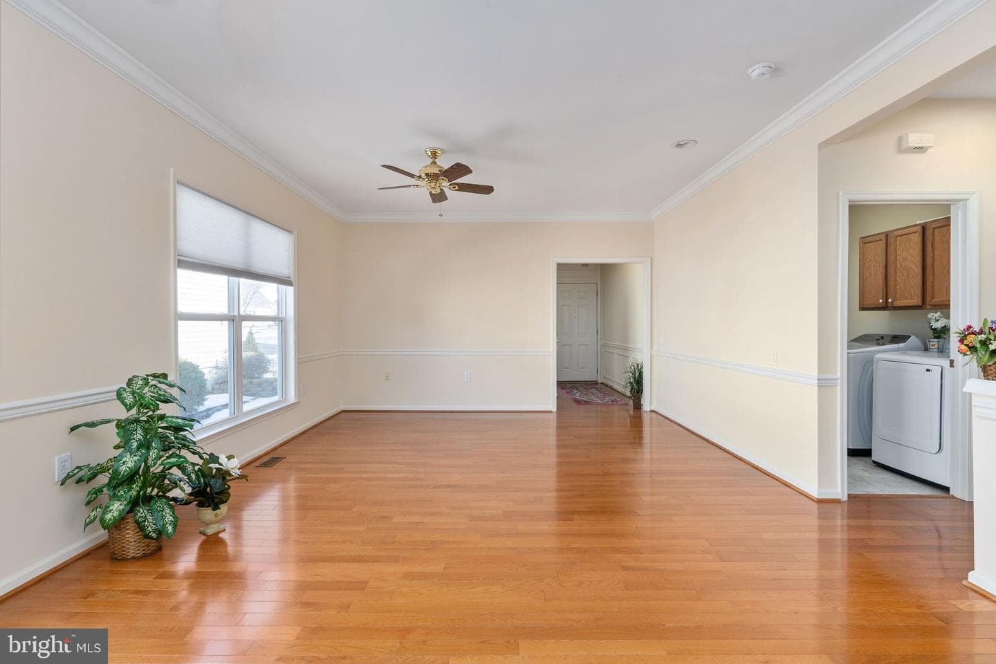 6 Buchanan Drive photo 28
