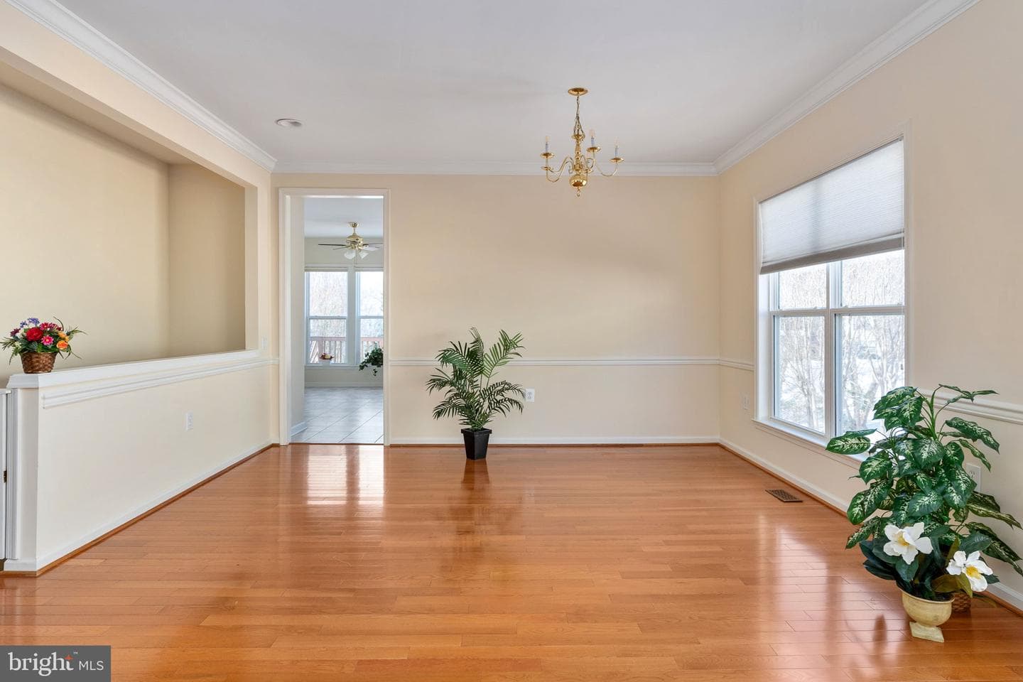 6 Buchanan Drive photo 30