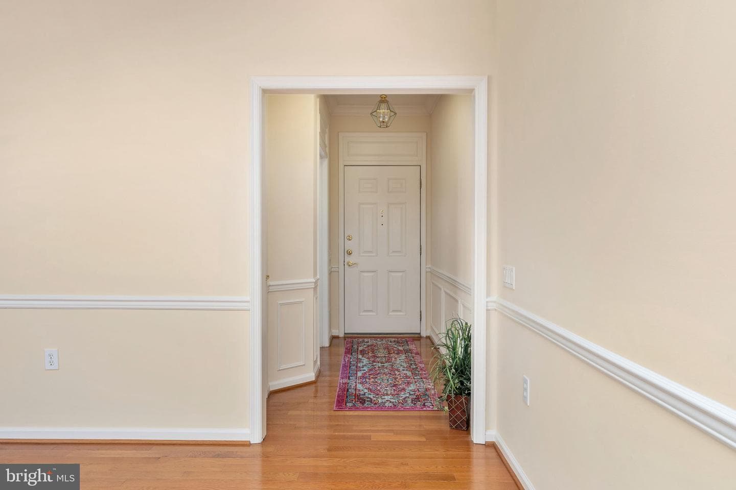 6 Buchanan Drive photo 38