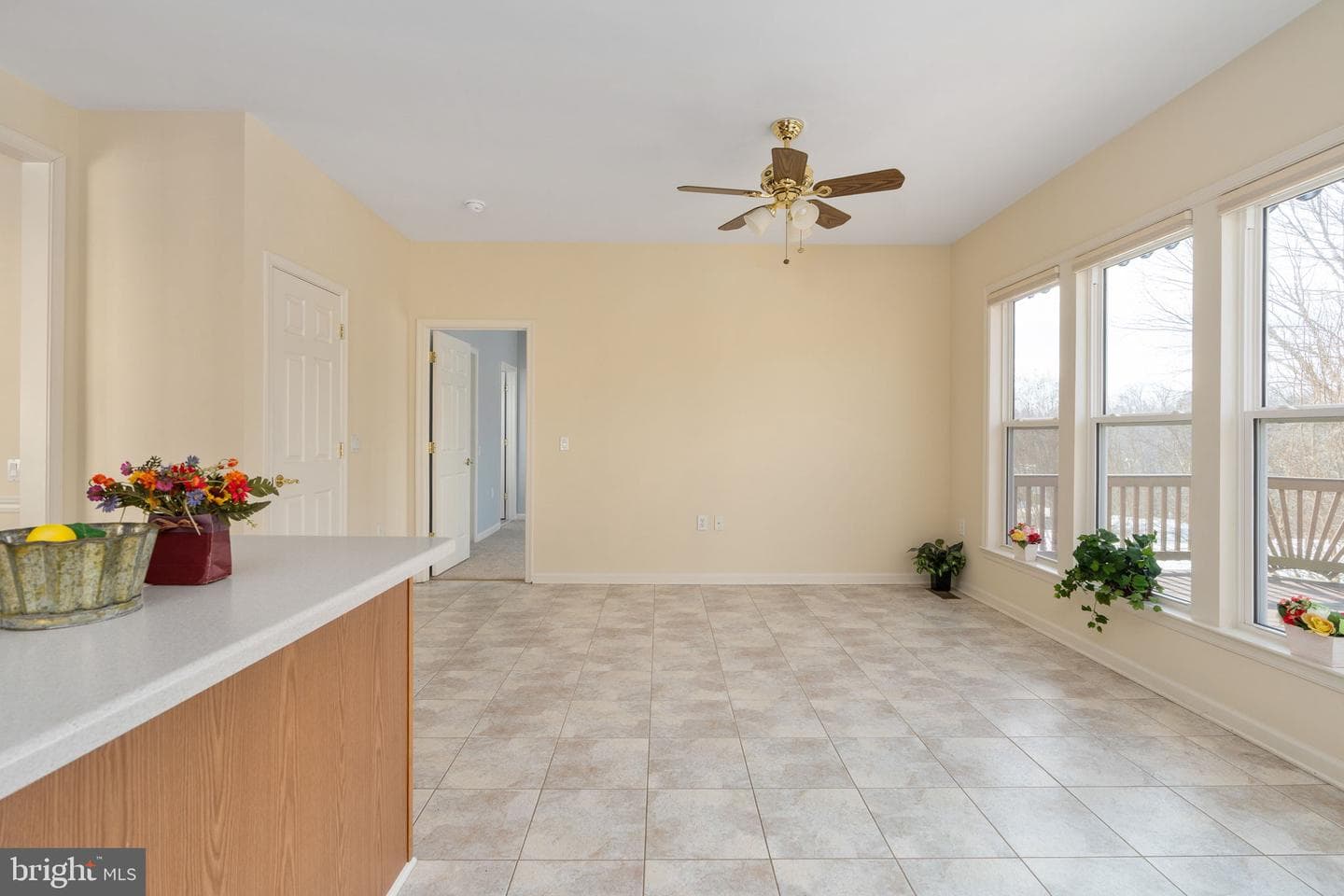 6 Buchanan Drive photo 39