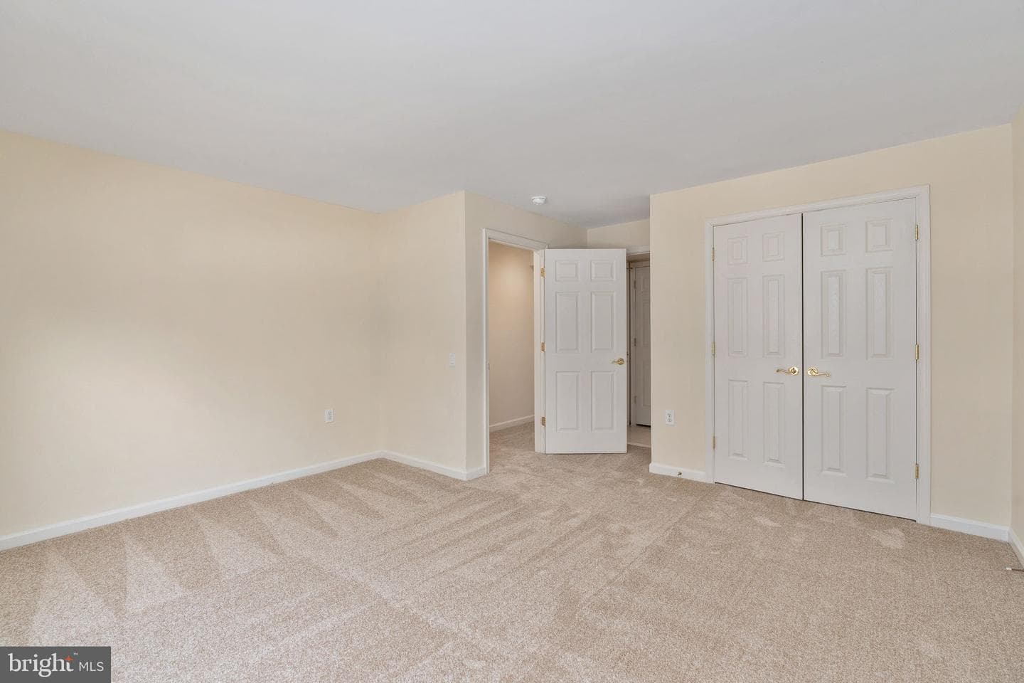 6 Buchanan Drive photo 41