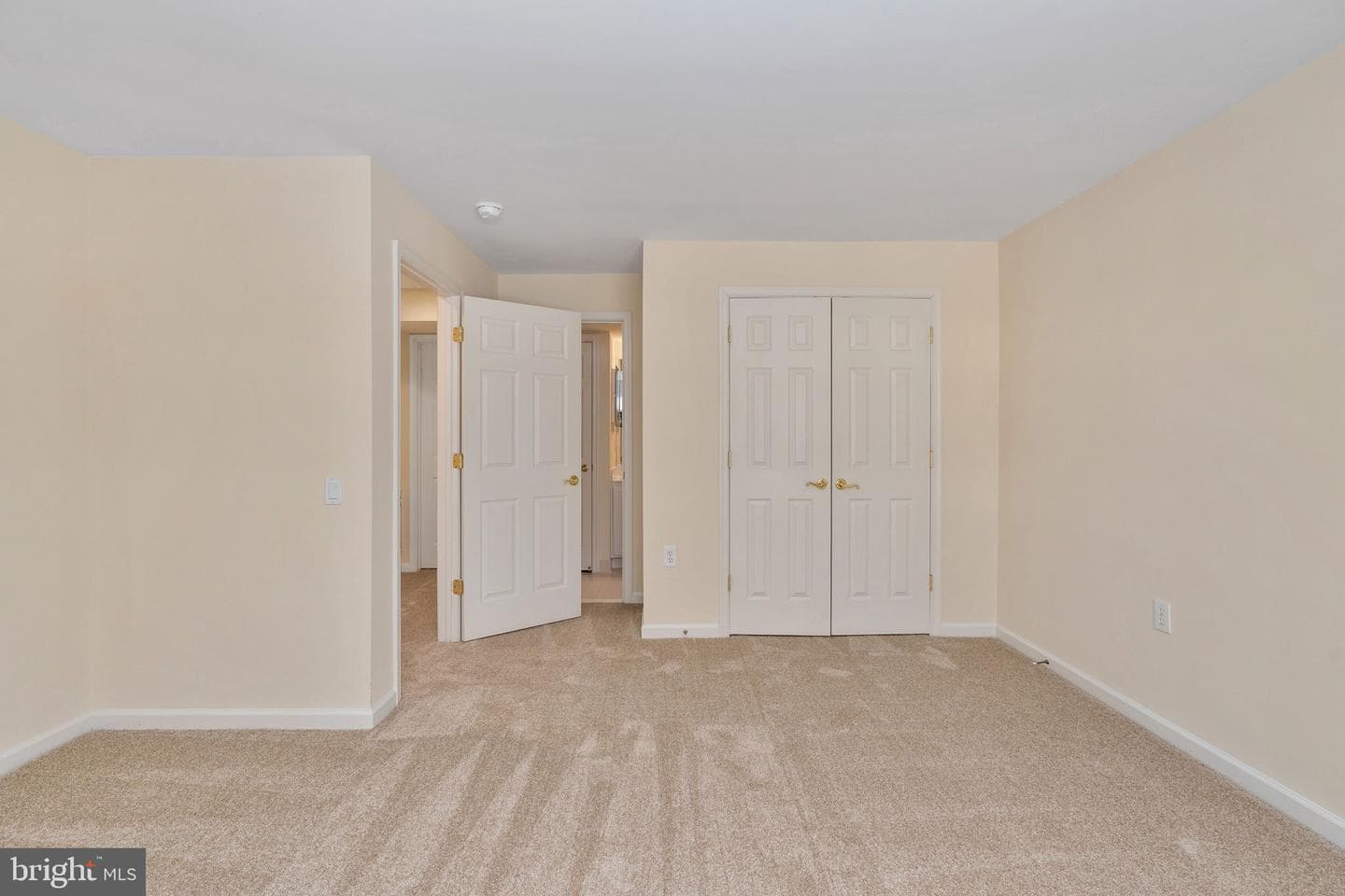 6 Buchanan Drive photo 42