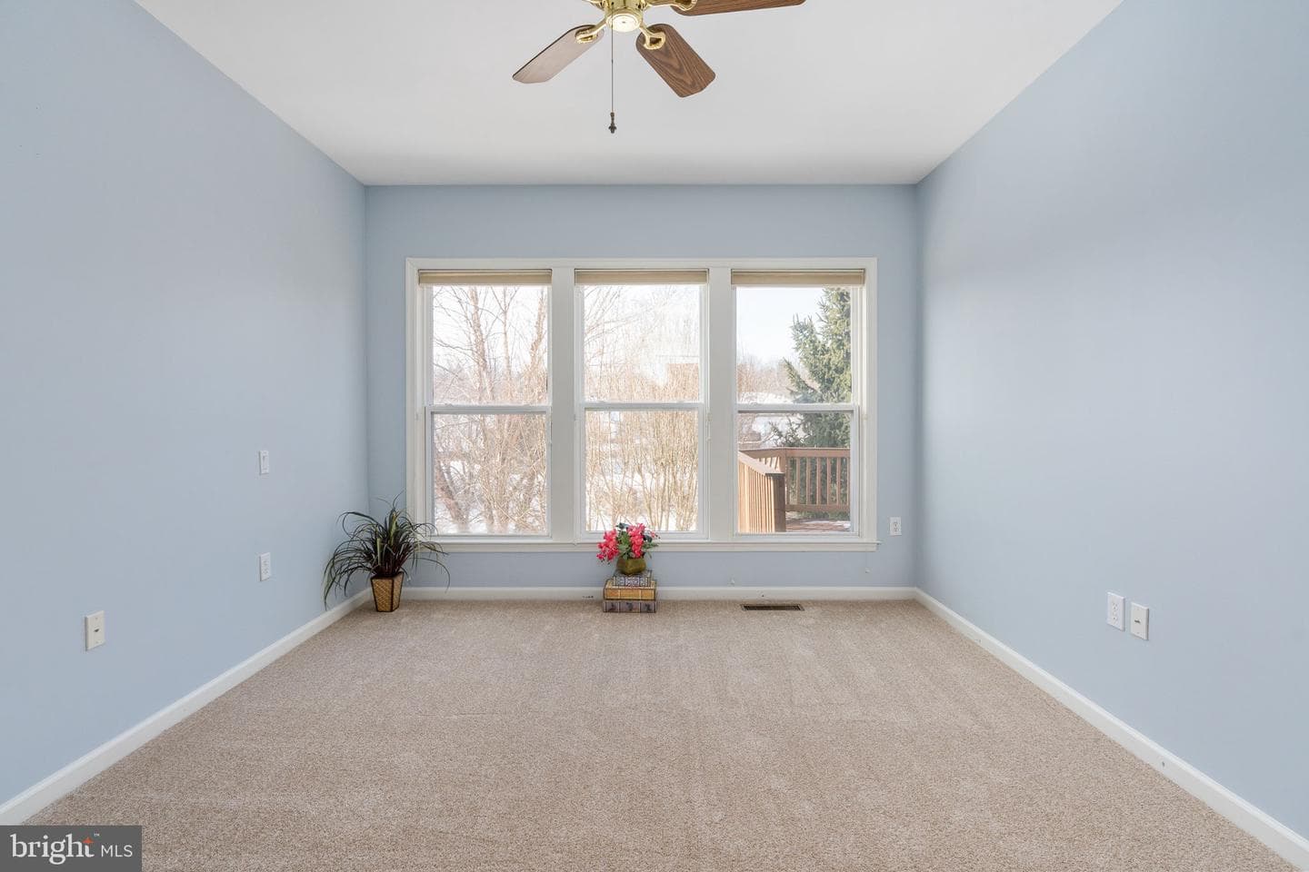 6 Buchanan Drive photo 49