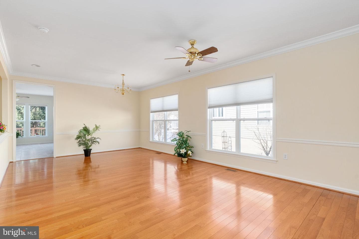 6 Buchanan Drive photo 5
