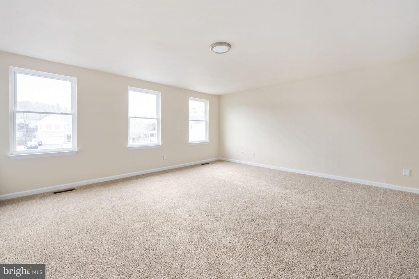 8 Newport Court photo 39