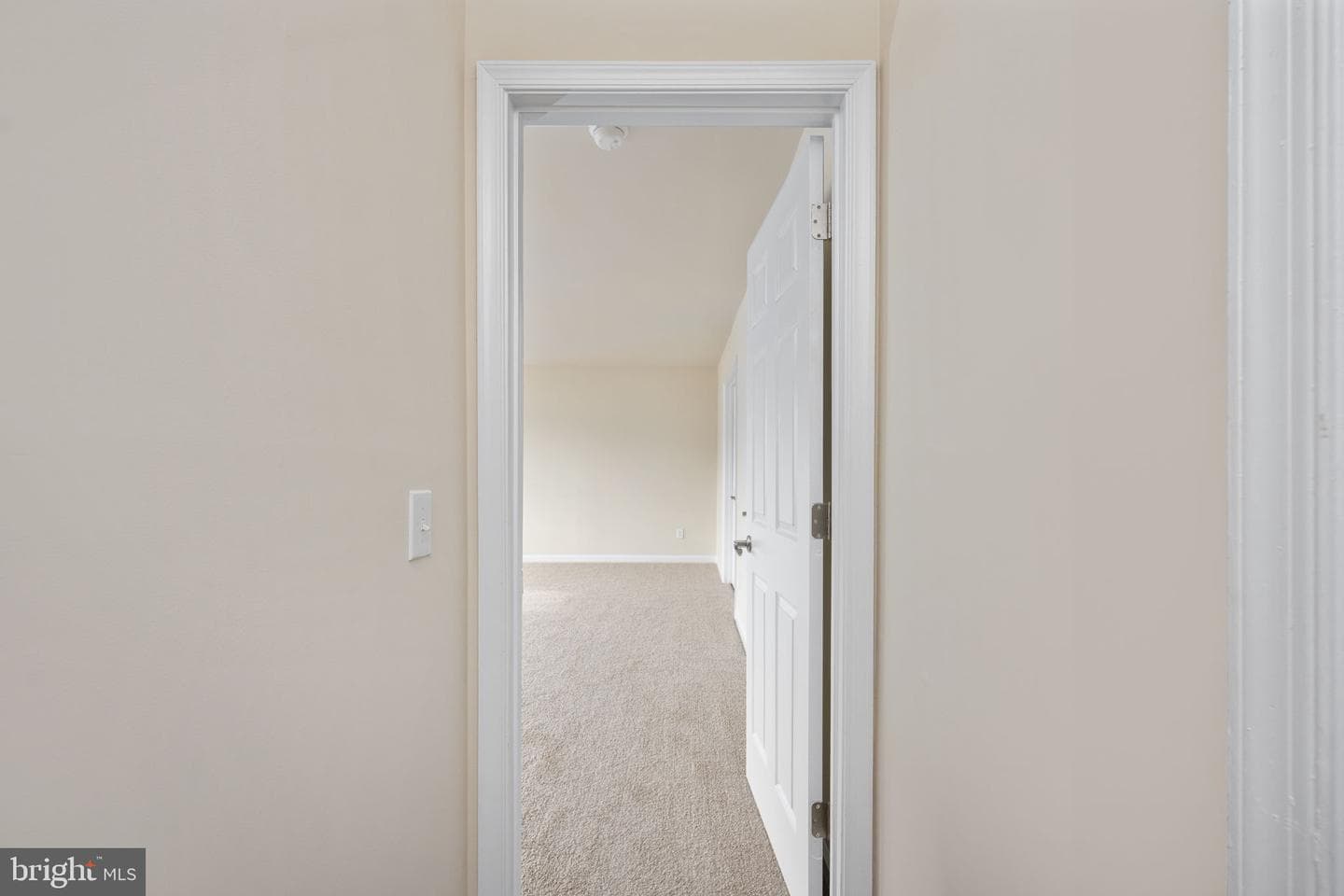 8 Newport Court photo 48