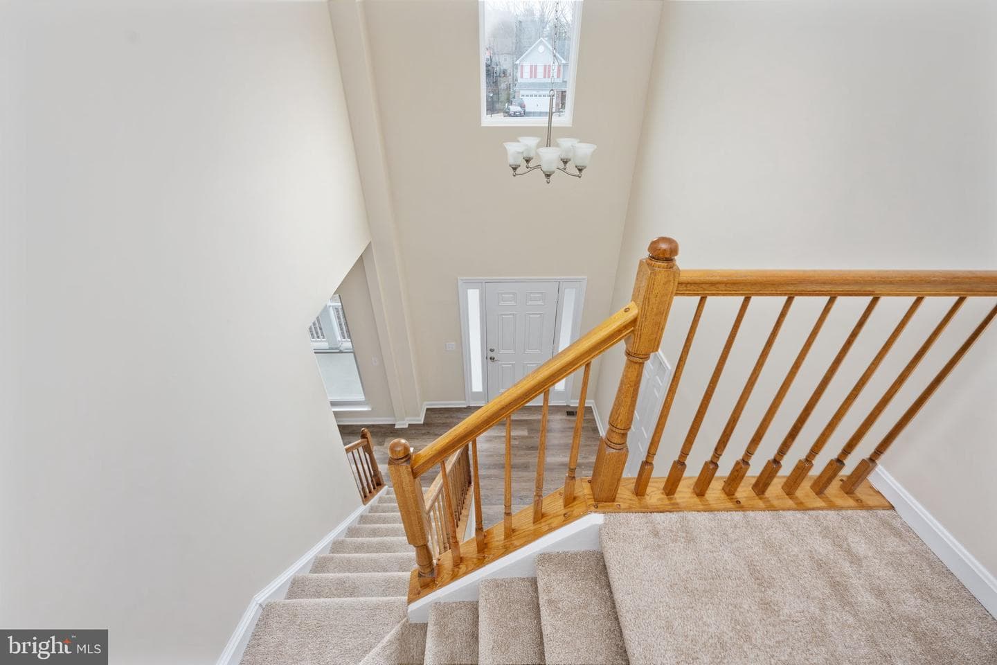 8 Newport Court photo 53