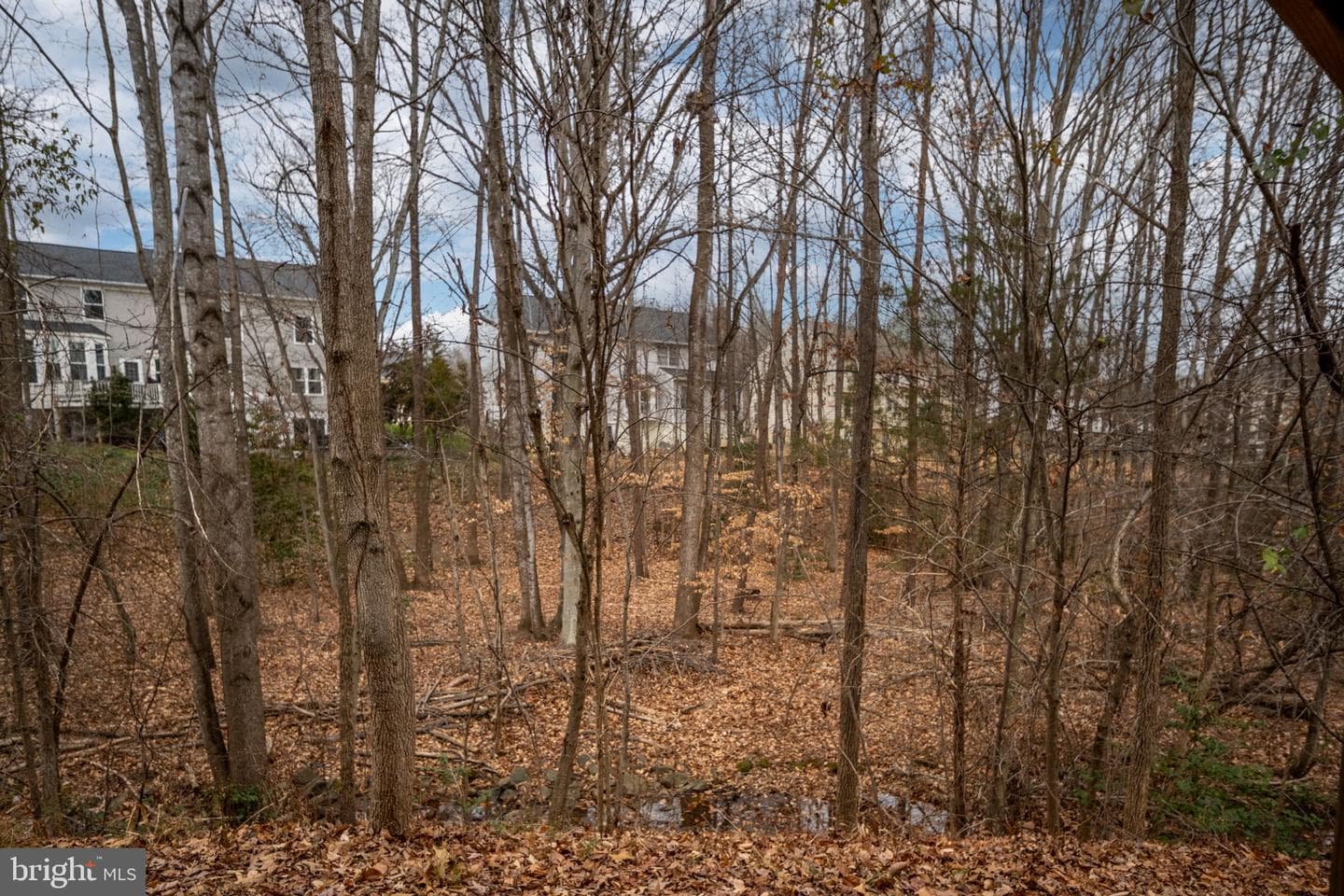 8 Newport Court photo 71