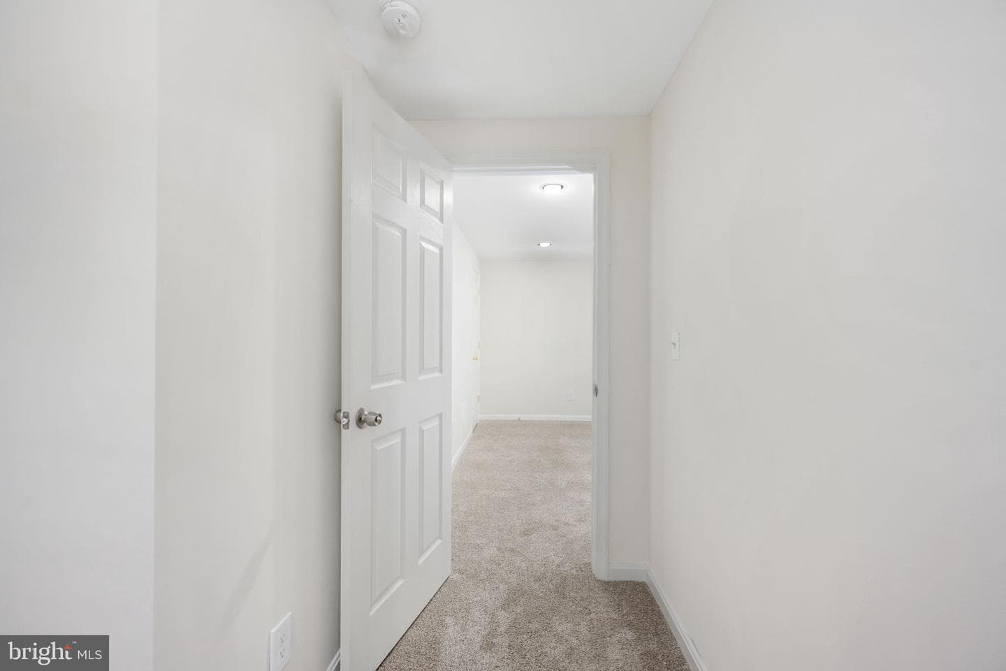 73 Spring Lake Drive photo 53