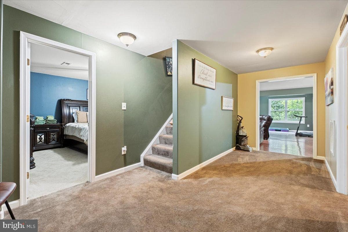 28 Millbrook Road photo 43