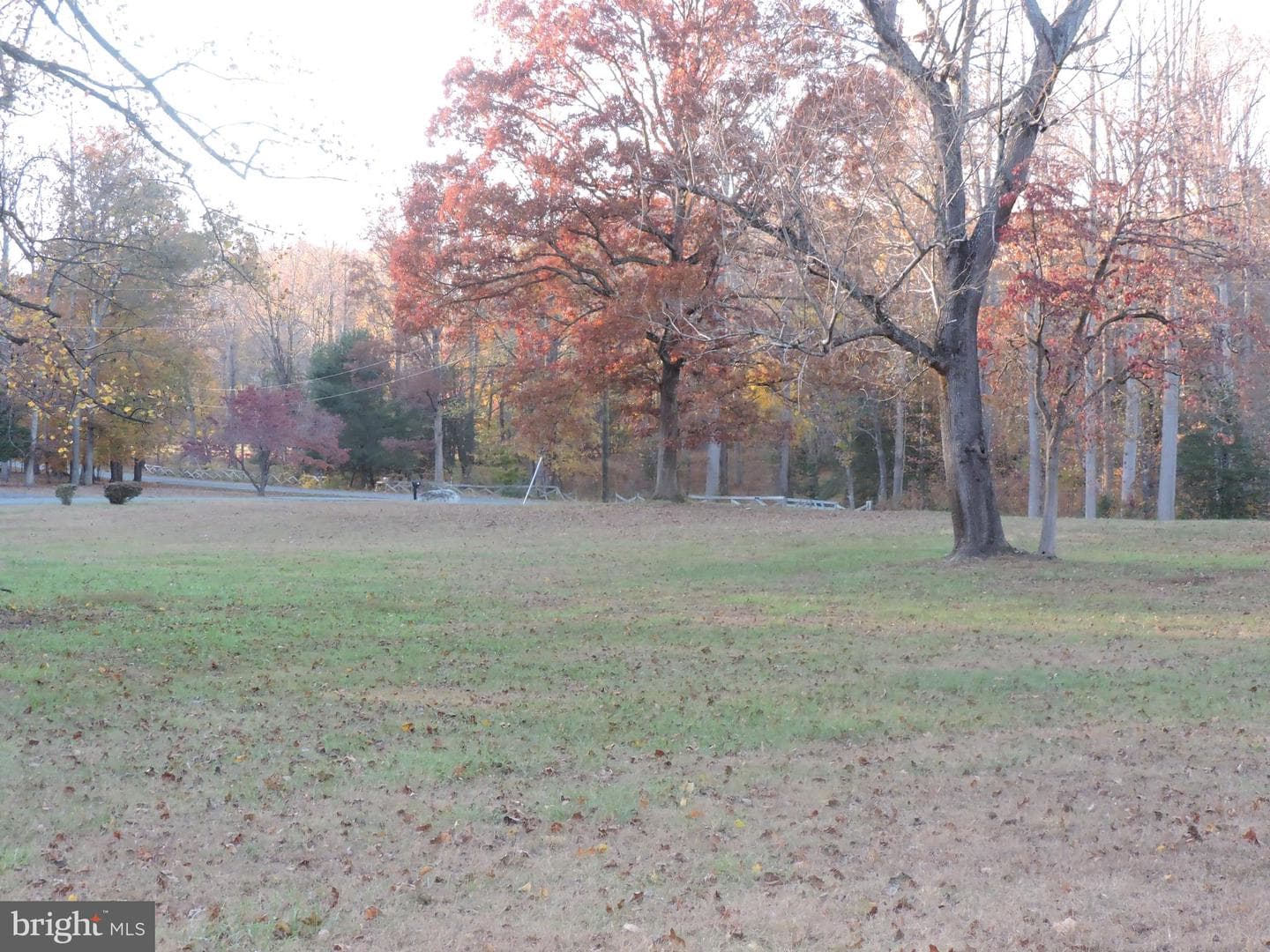 52 Forest Hill Lane photo 31
