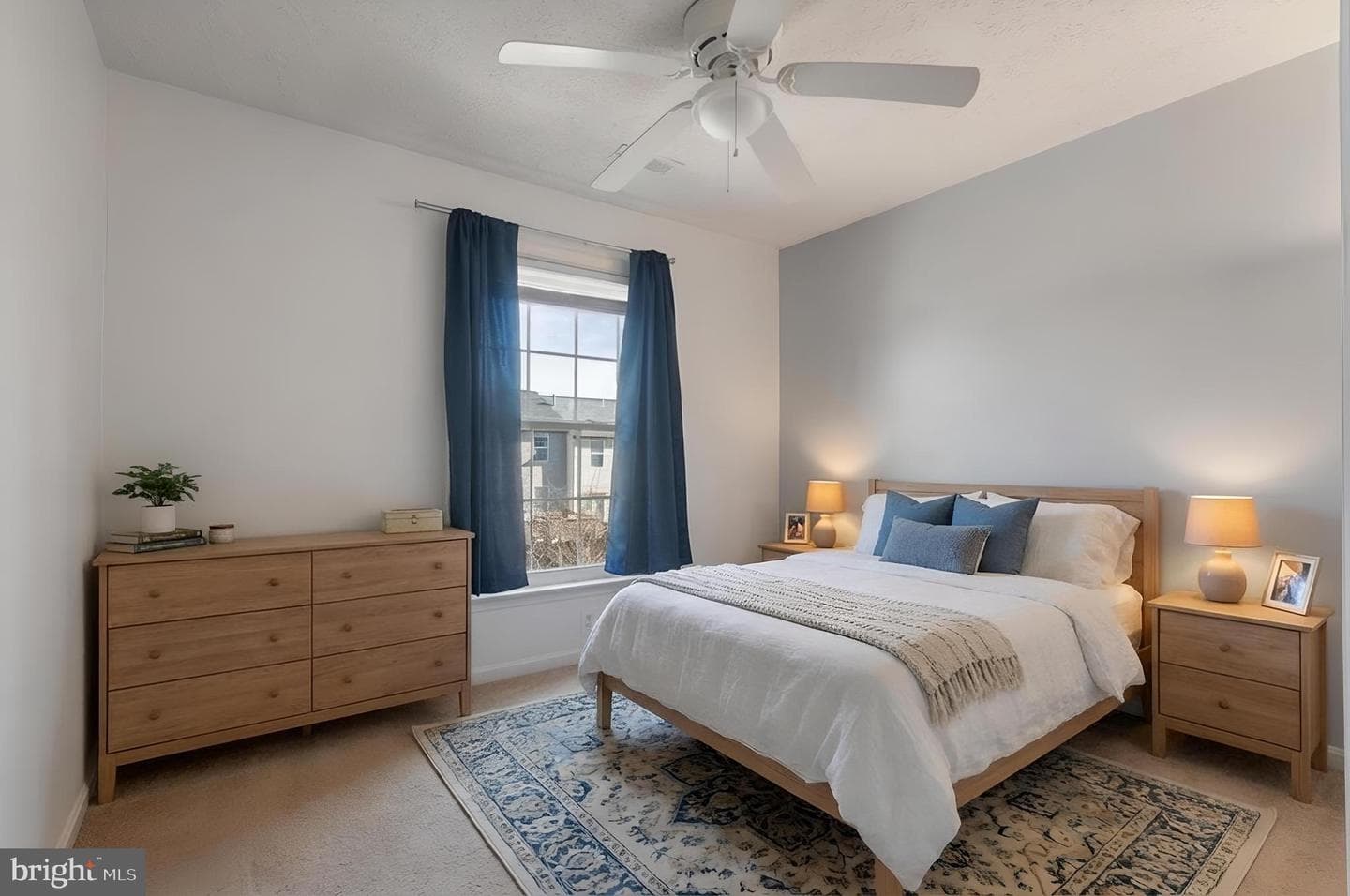101 Bonair Street photo 28