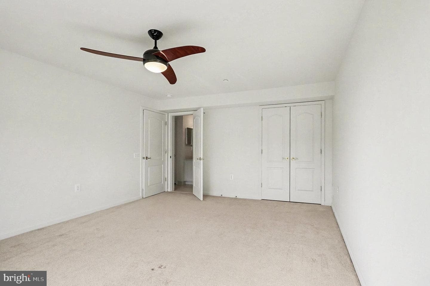11 Carson Drive photo 30