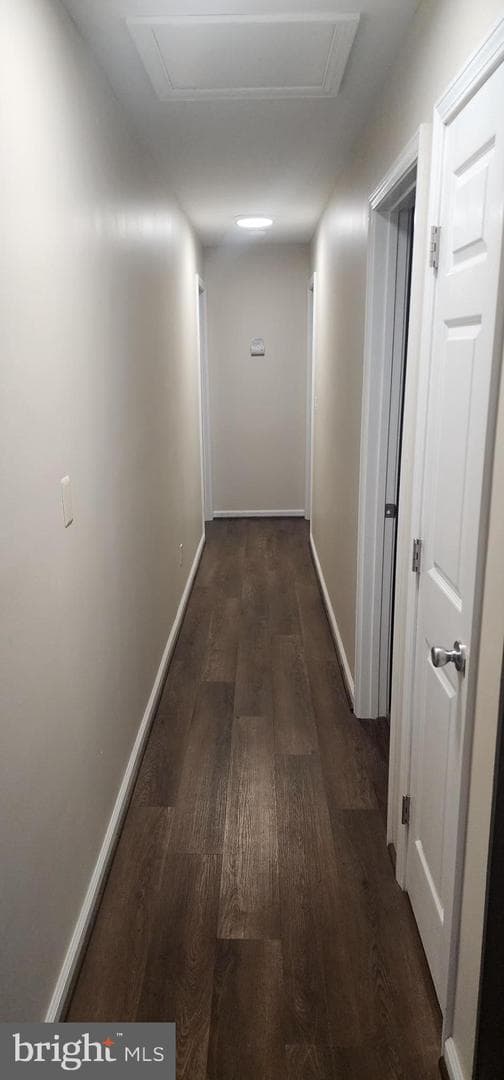 309 Burnside Avenue photo 47