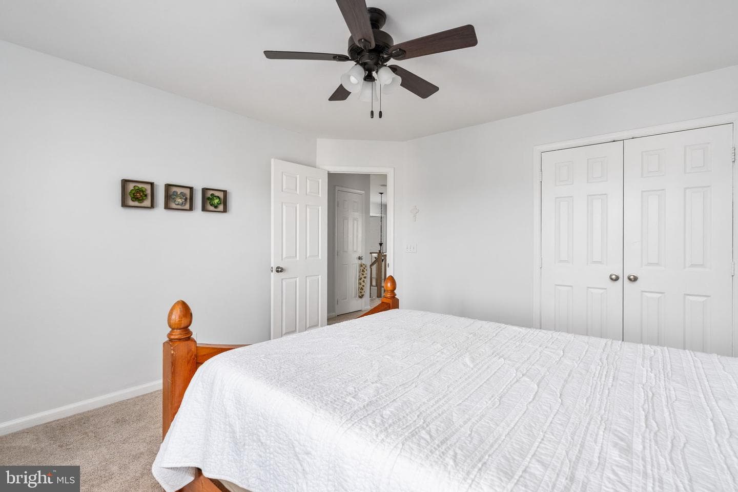 151 Northampton Boulevard photo 23