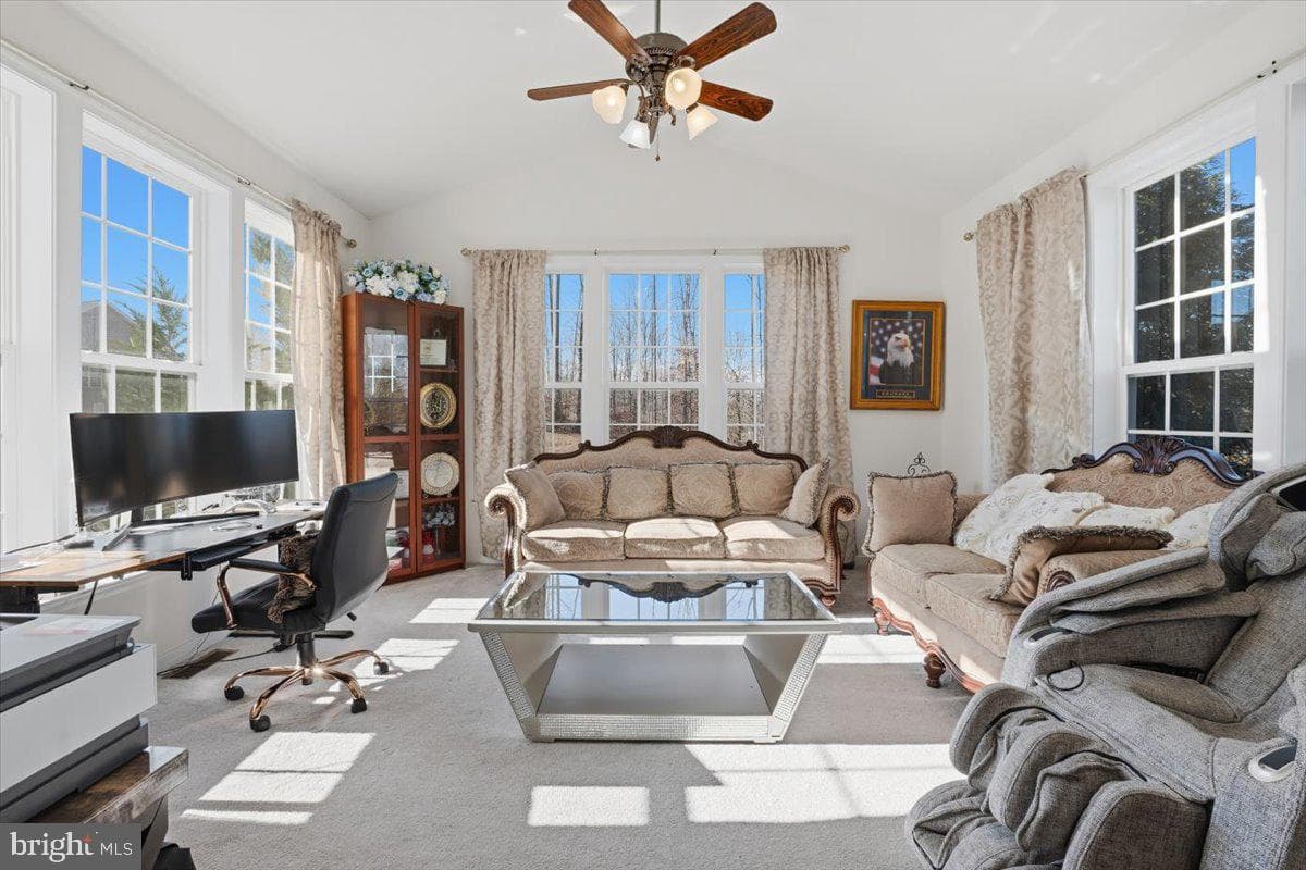 11 Sweet William Drive photo 18