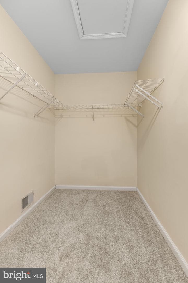 4 Tamerlane Drive photo 11