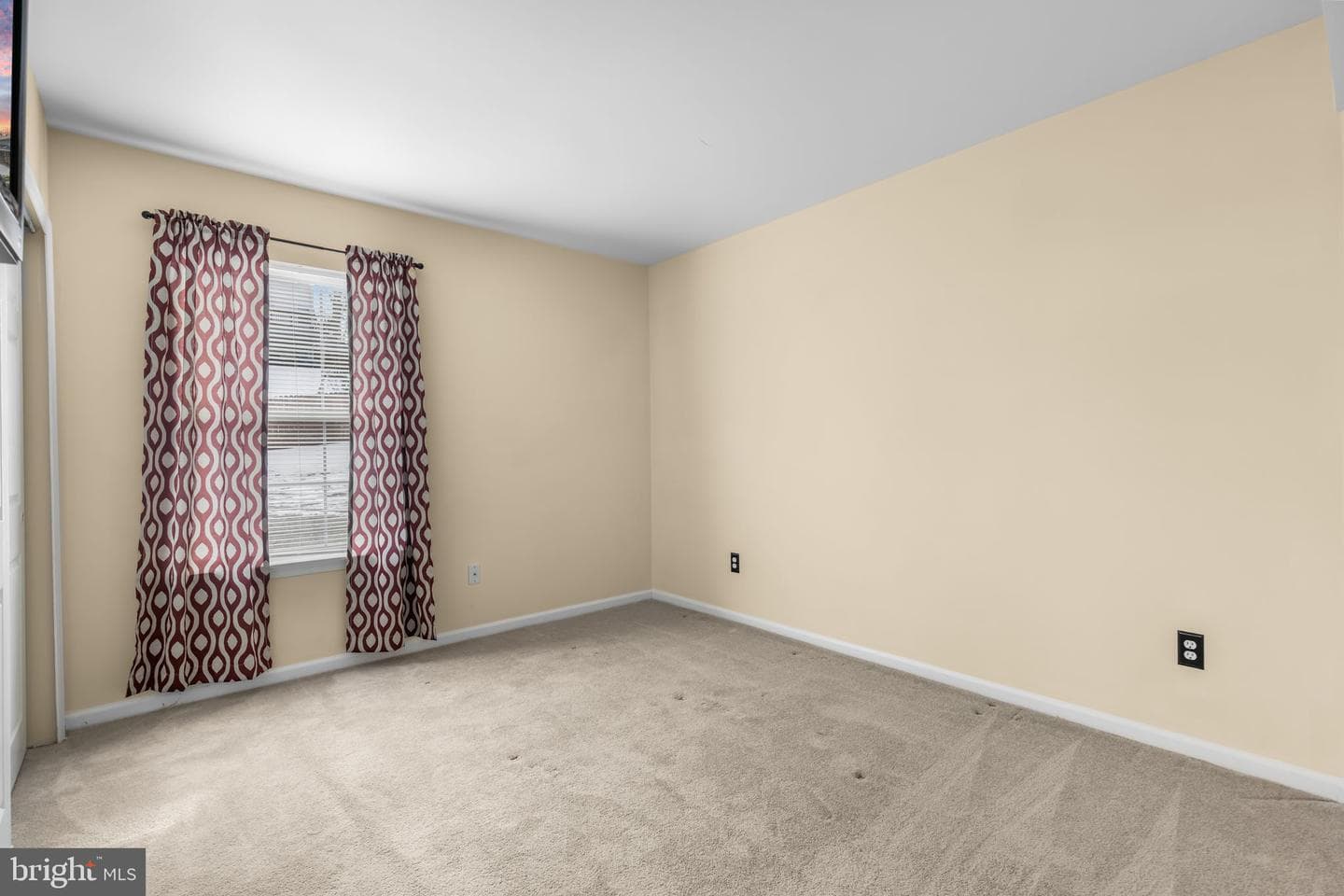 4 Tamerlane Drive photo 19