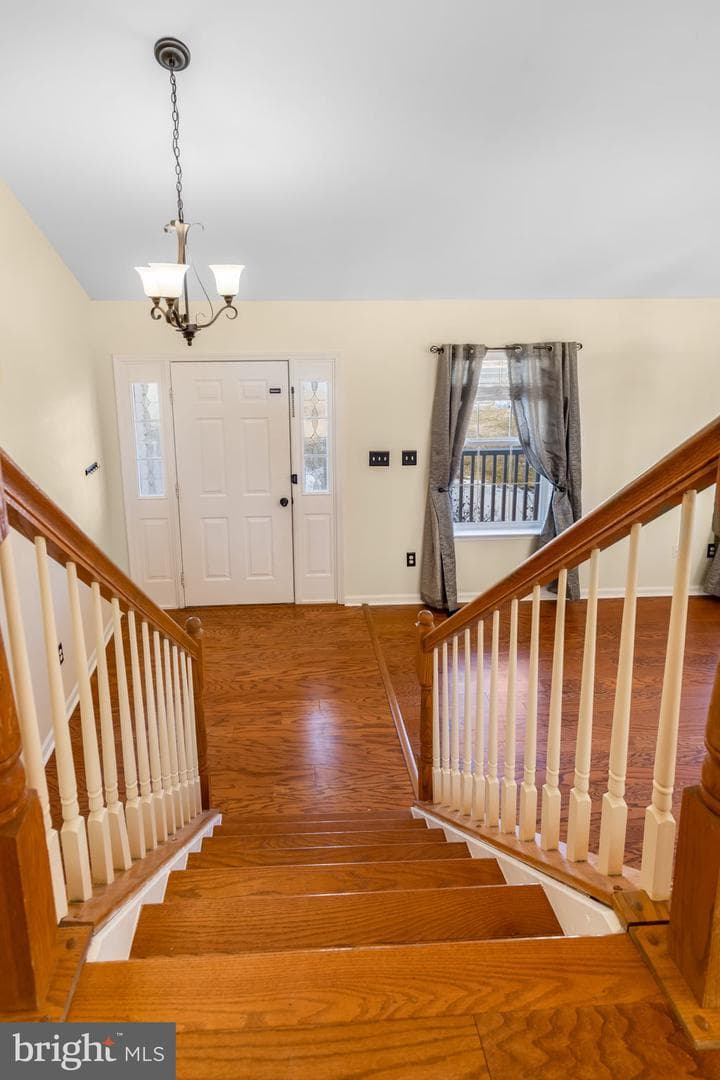 4 Tamerlane Drive photo 6