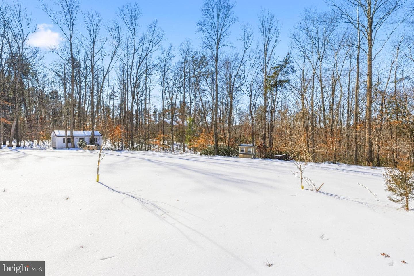 53 Queen Laurens Court photo 10