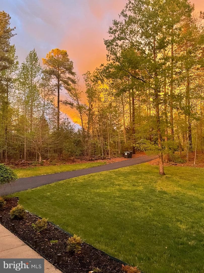 53 Queen Laurens Court photo 64