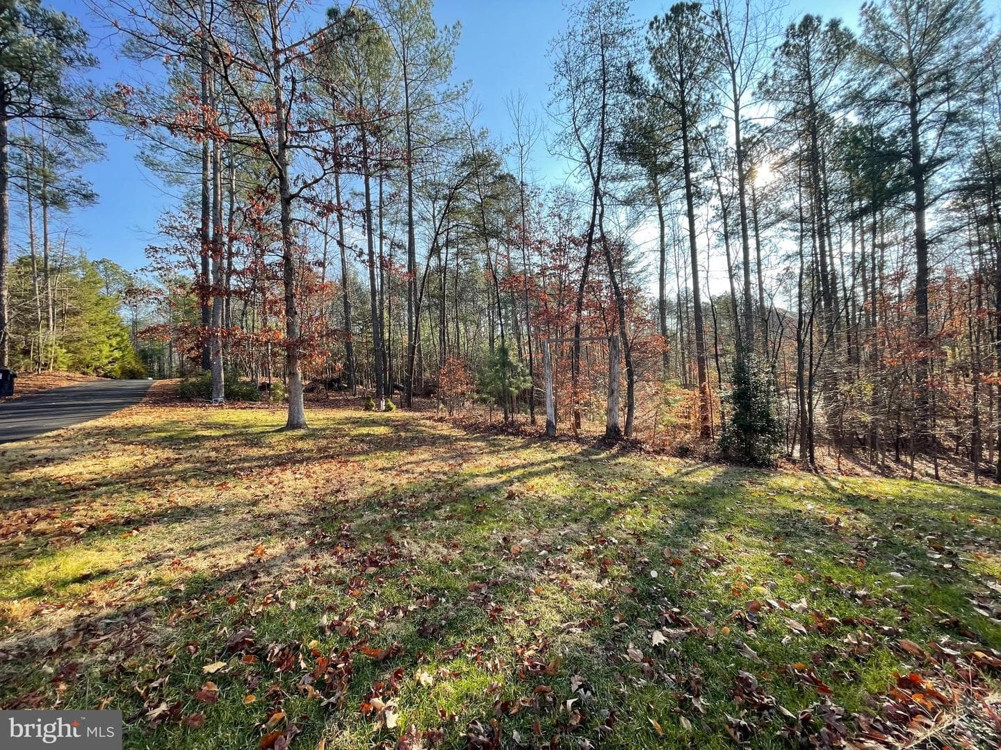 53 Queen Laurens Court photo 72