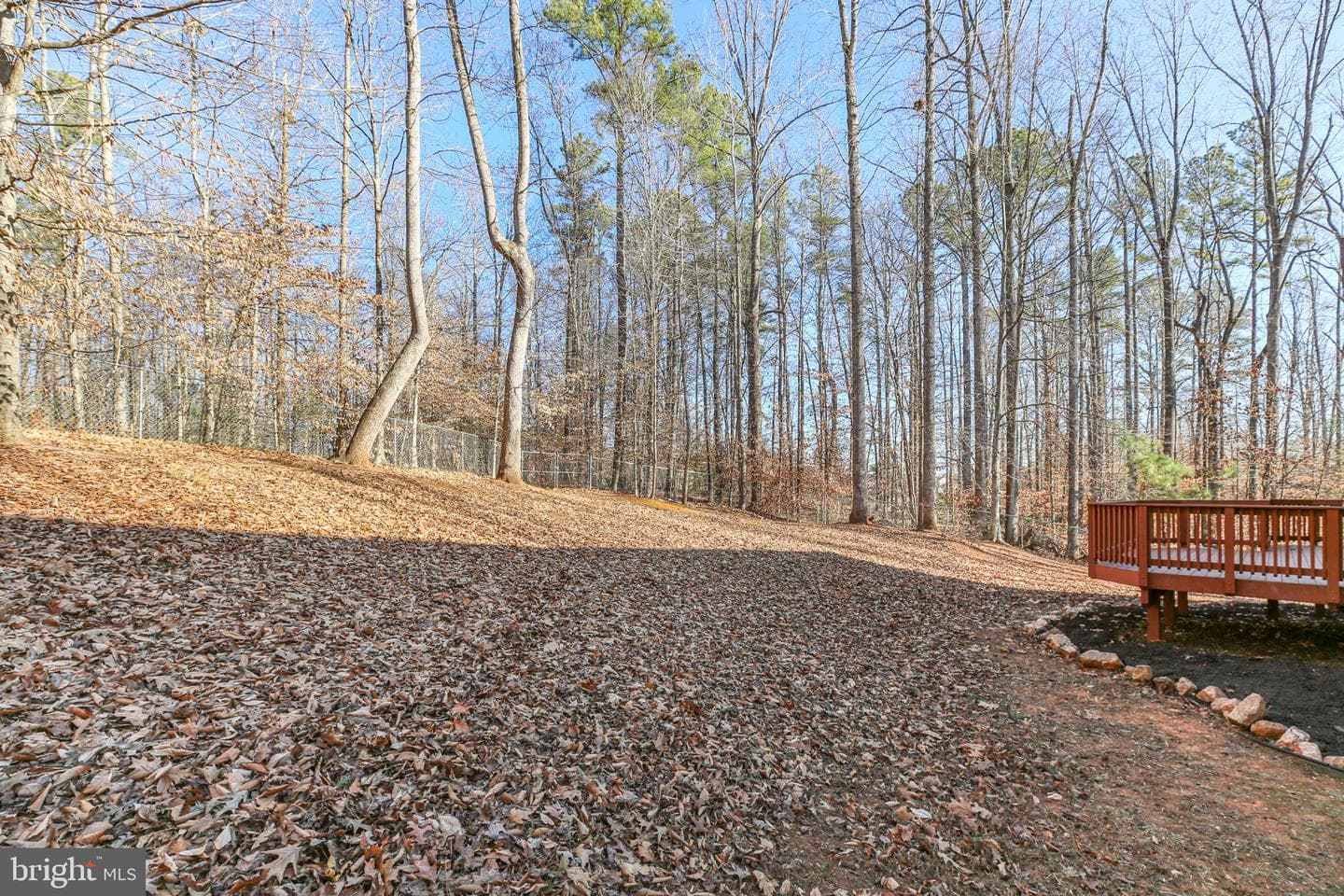 42 Kinsley Lane photo 61
