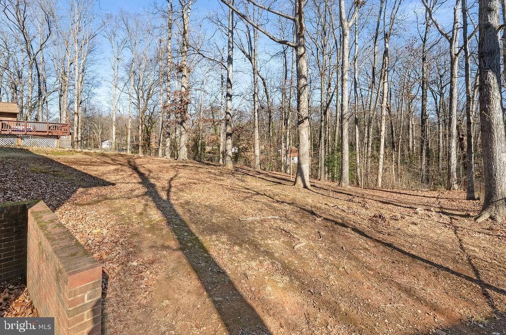 15 Winston Place photo 32