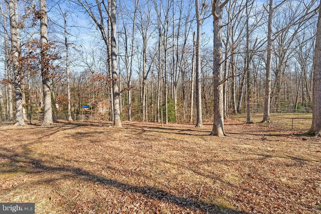 15 Winston Place photo 34