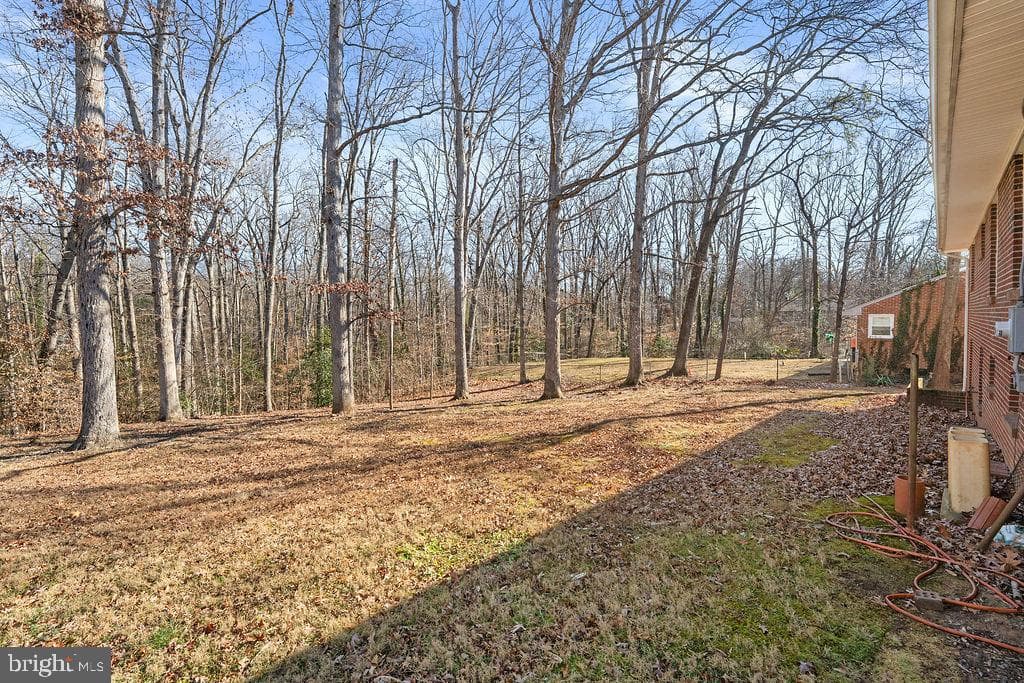 15 Winston Place photo 37