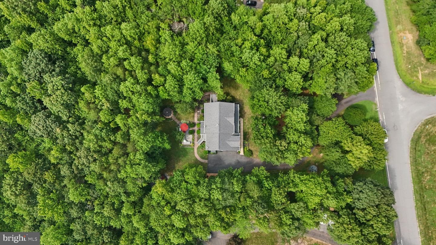 45 Saint Marys Lane photo 65
