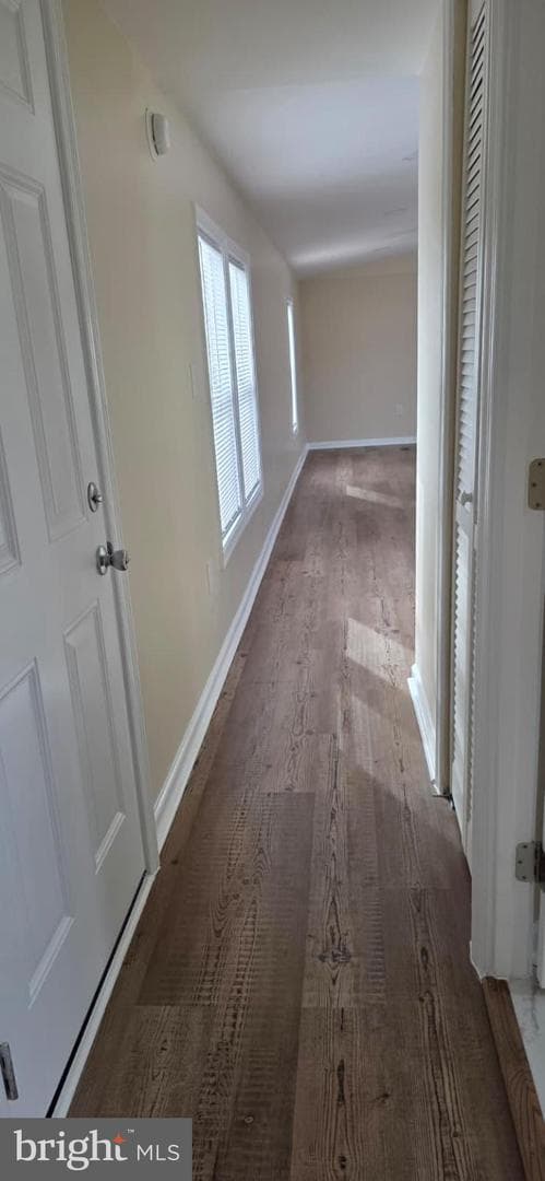 5 Stevens Circle photo 41