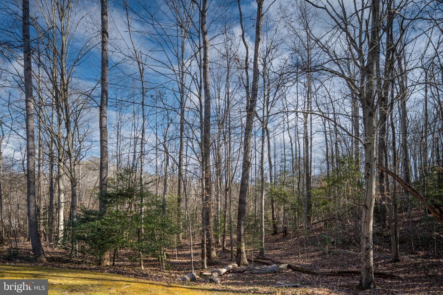 916 Decatur Road photo 48