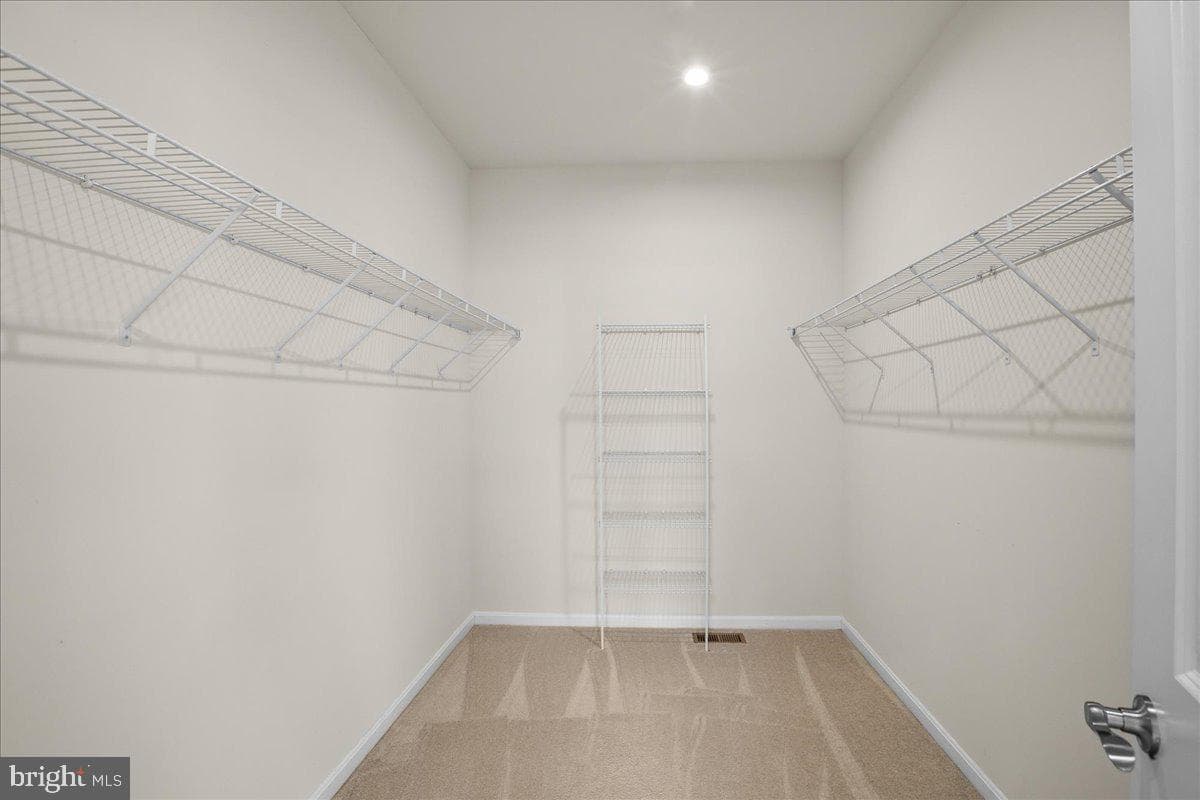108 Dribbler Way photo 21