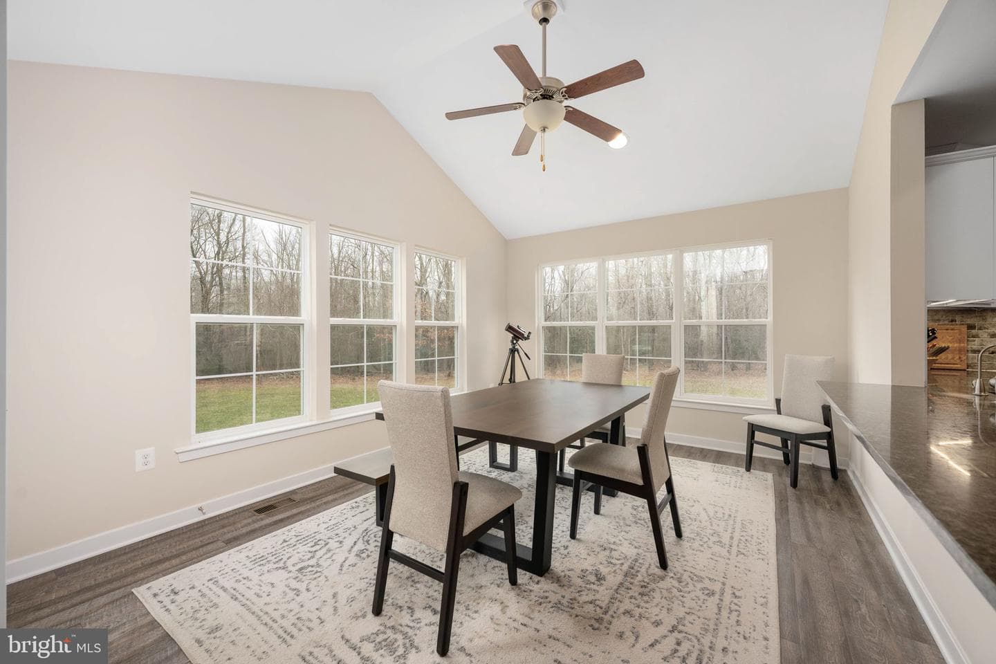 245 Saddle Ridge Lane photo 11