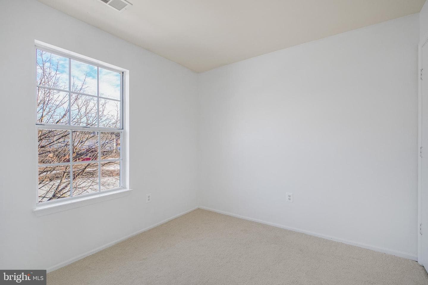 213 Lakeview Court photo 18