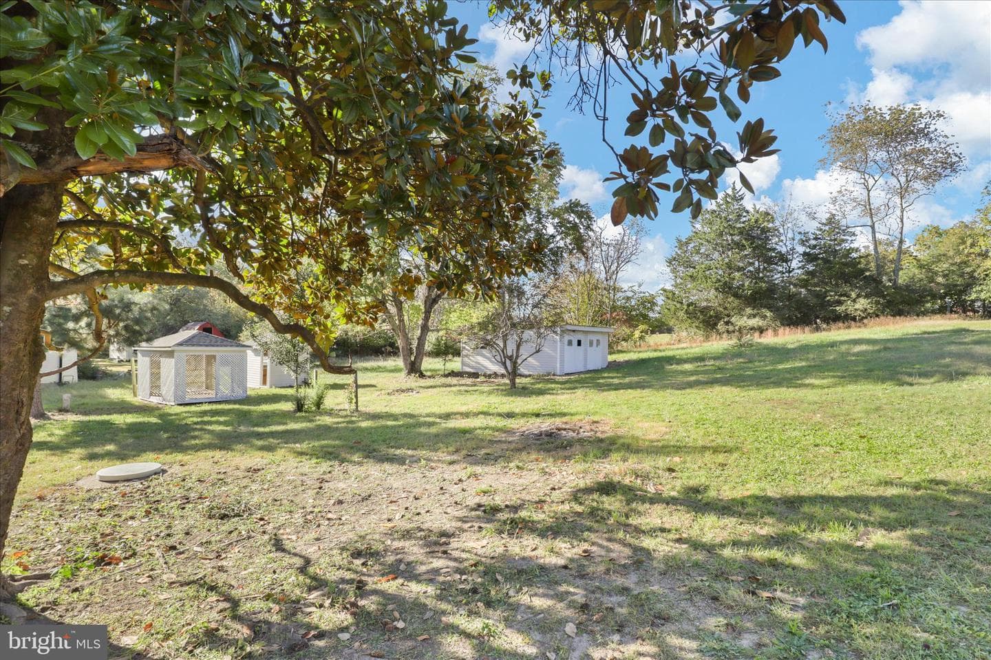 347 Forest Lane Road photo 30