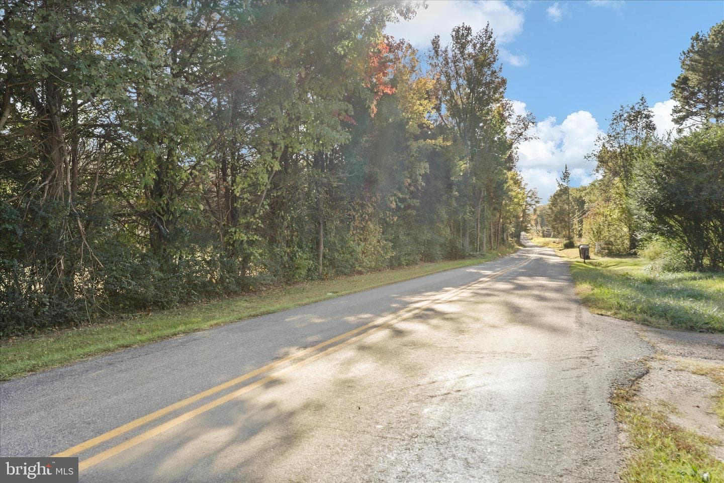 347 Forest Lane Road photo 36