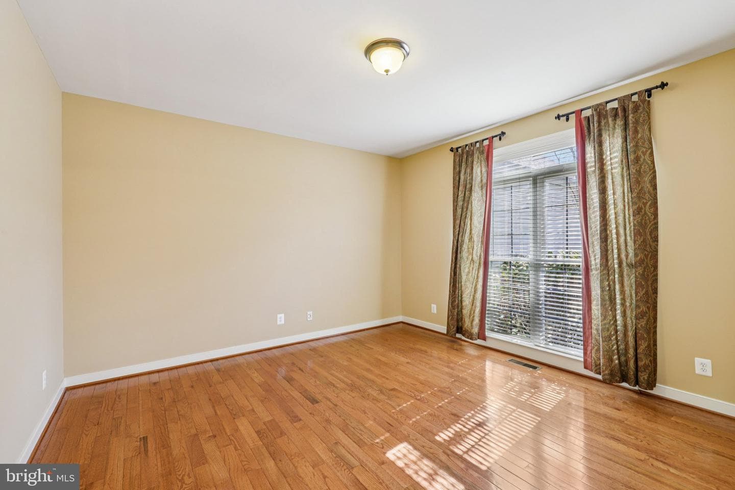 8 Brannigan Drive photo 7