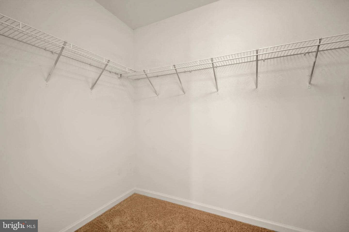 20 Manorwood Drive photo 28