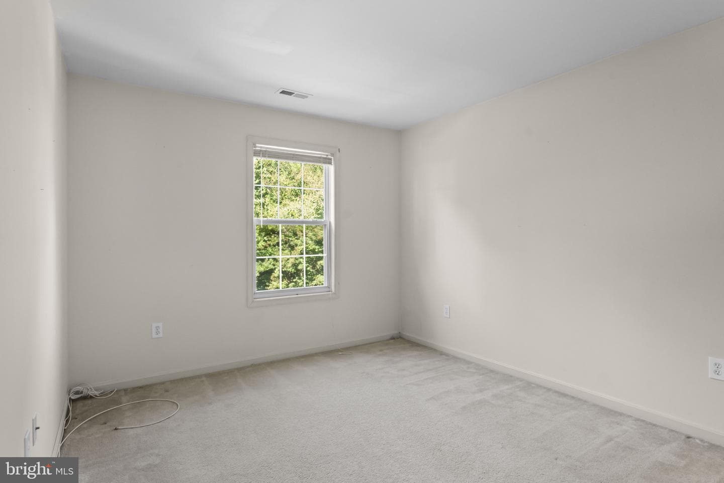 13 Joplin Court photo 24