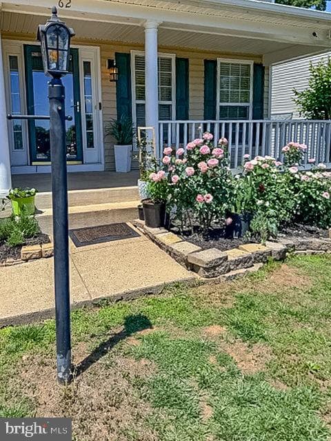62 Chadwick Drive photo 6