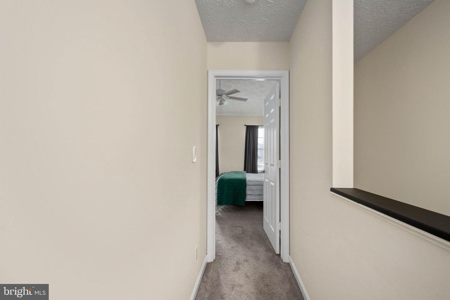 207 Healy Court photo 18