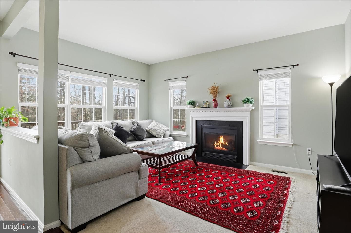 44 Catherine Lane photo 11