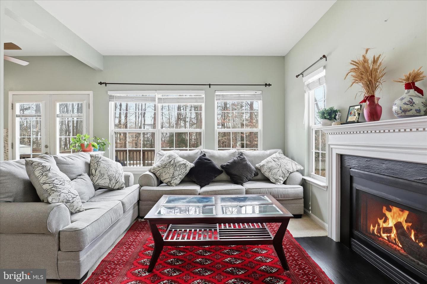 44 Catherine Lane photo 12