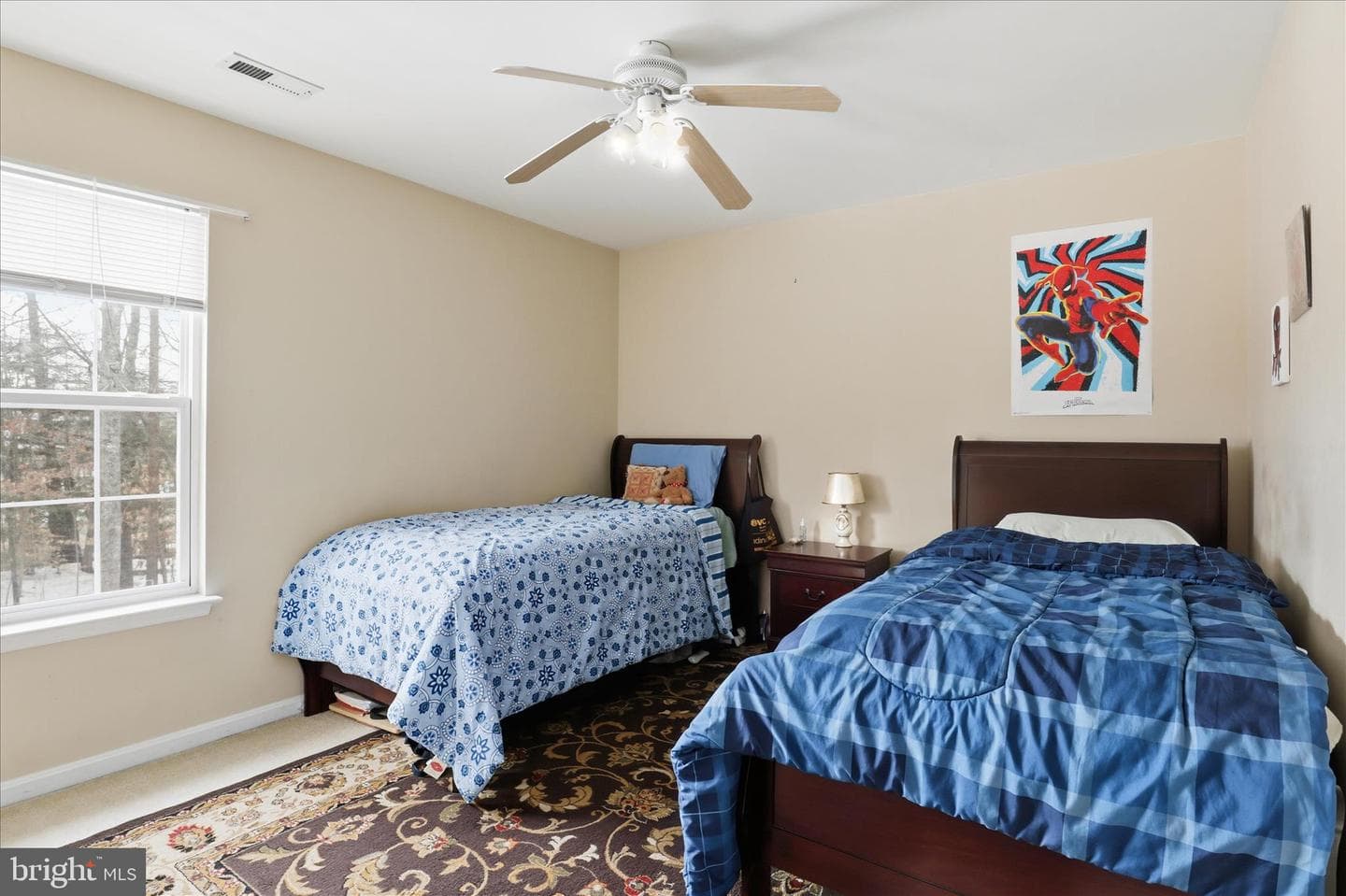 44 Catherine Lane photo 23